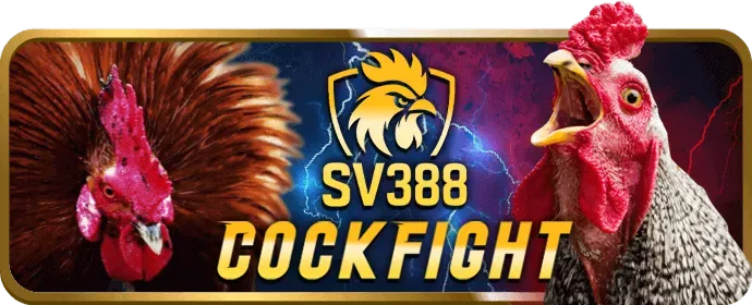 Chương Trình VIP au 88